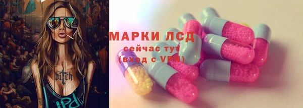 крисы Осташков