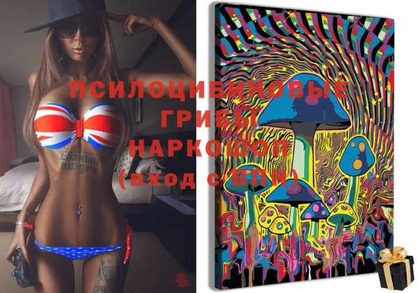 крисы Осташков