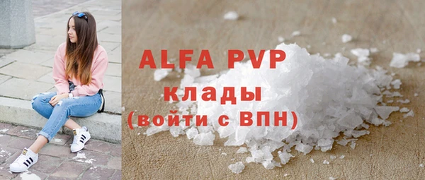 крисы Осташков